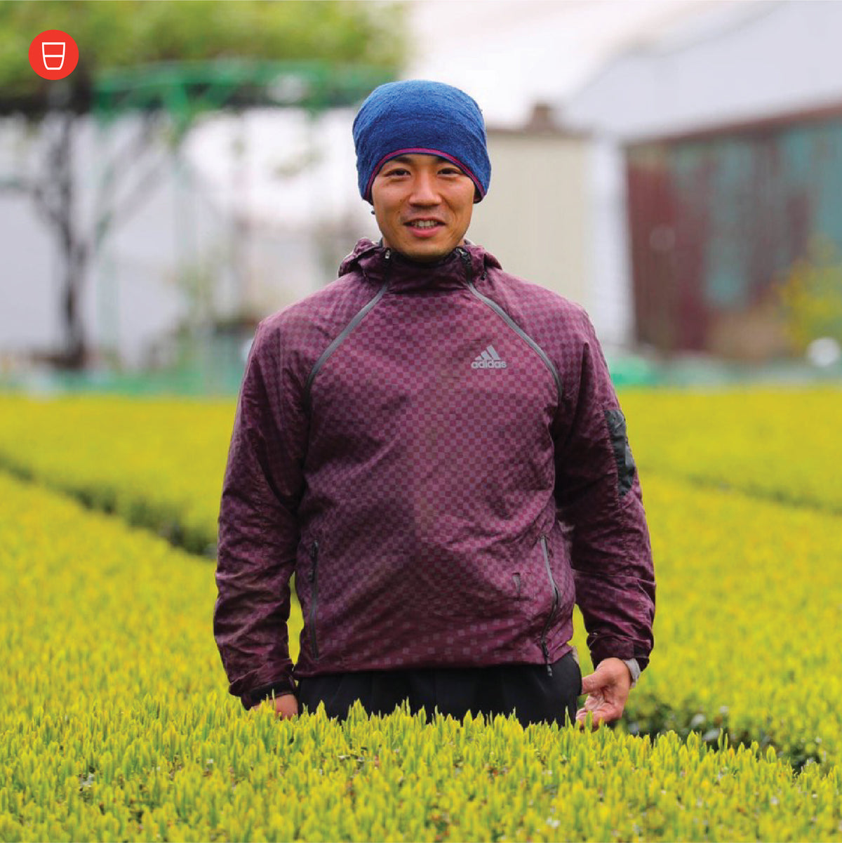 Farmer Focus: Yokota-san