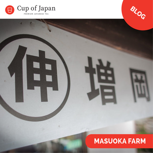 Sayama Organic Tea, our trip to Saitama and meeting with 400 years of tea farming
