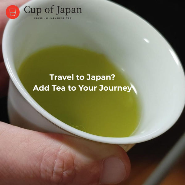 Visit a Traditional Sayama Tea Farm