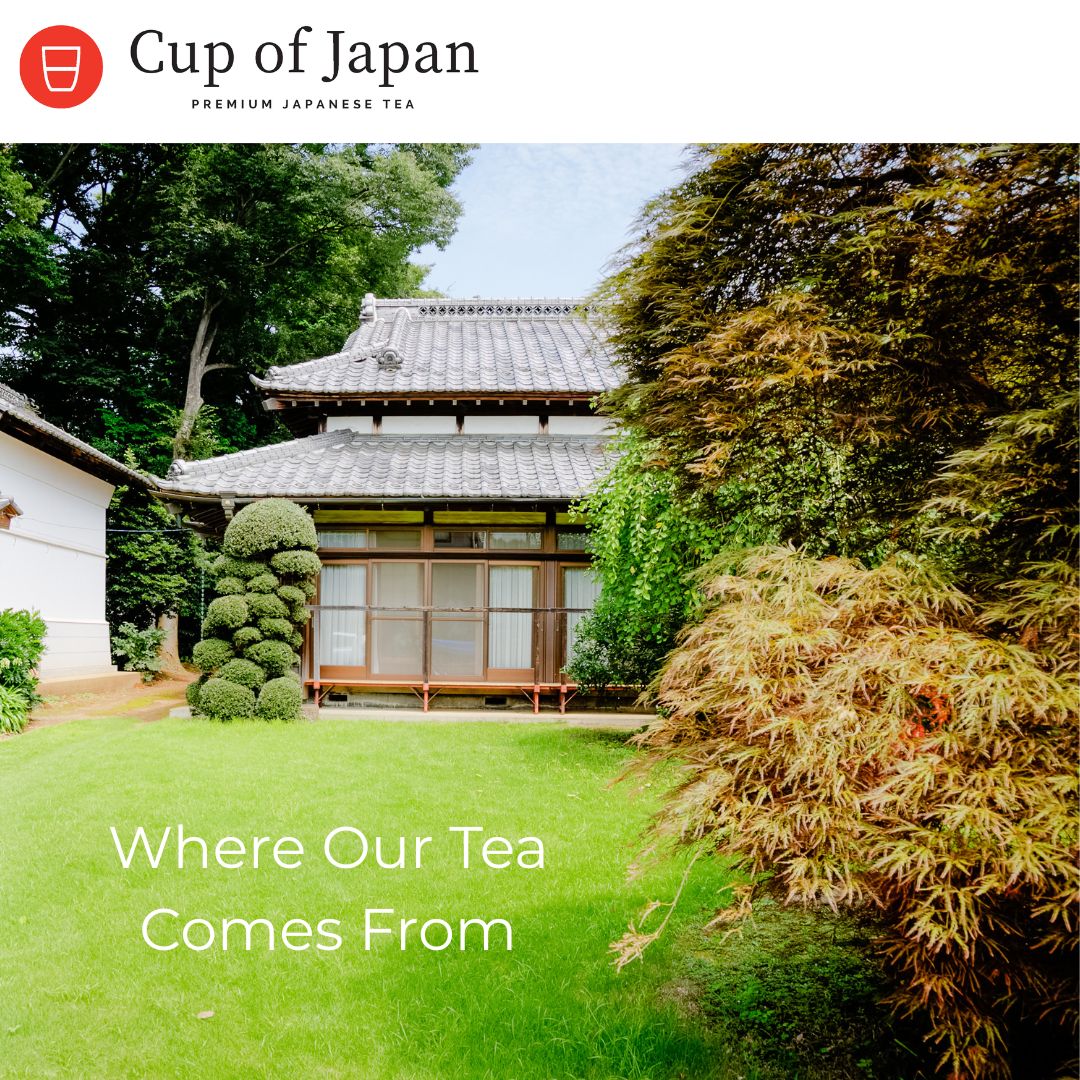Where Our Tea Comes From