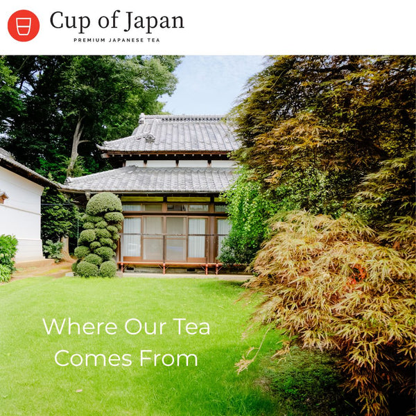 Where Our Tea Comes From