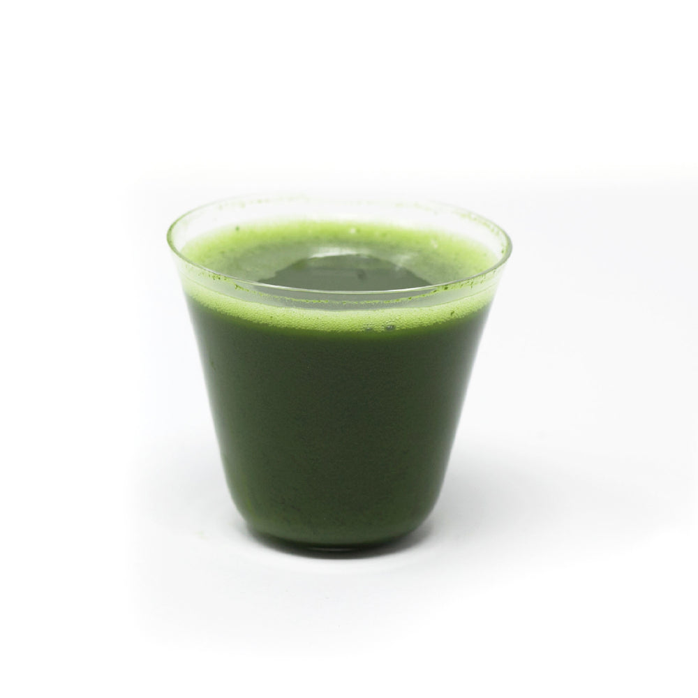 001 MINORI 実, Vivid & Potent Matcha
